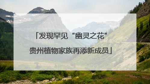 发现罕见“幽灵之花” 贵州植物家族再添新成员