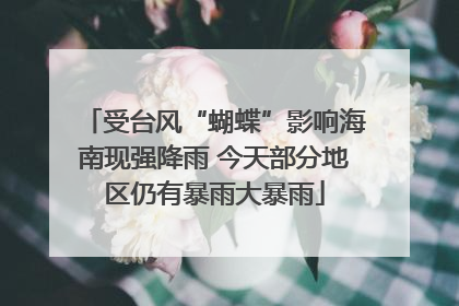 受台风“蝴蝶”影响海南现强降雨 今天部分地区仍有暴雨大暴雨