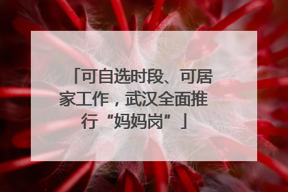可自选时段、可居家工作，武汉全面推行“妈妈岗”
