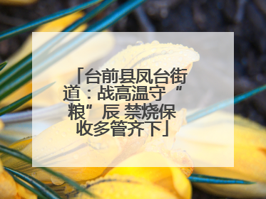 台前县凤台街道：战高温守“粮”辰 禁烧保收多管齐下