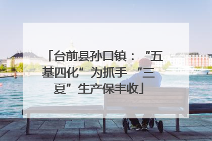 台前县孙口镇：“五基四化”为抓手 “三夏”生产保丰收