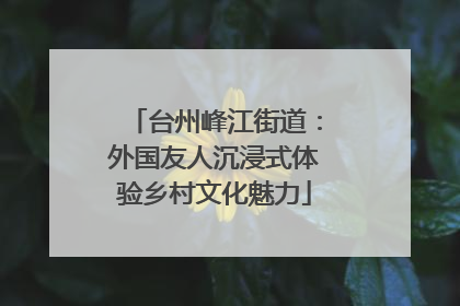 台州峰江街道：外国友人沉浸式体验乡村文化魅力