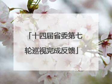 十四届省委第七轮巡视完成反馈