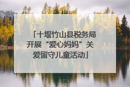十堰竹山县税务局开展“爱心妈妈”关爱留守儿童活动