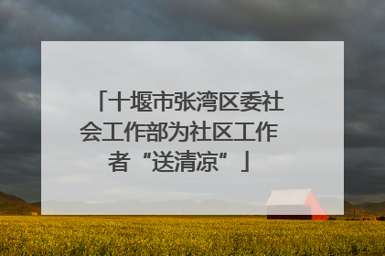 十堰市张湾区委社会工作部为社区工作者“送清凉”