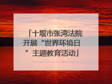 十堰市张湾法院开展“世界环境日”主题教育活动