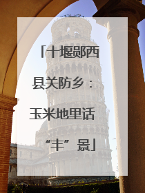 十堰郧西县关防乡：玉米地里话“丰”景