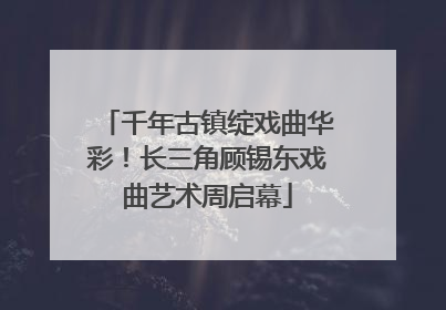 千年古镇绽戏曲华彩！长三角顾锡东戏曲艺术周启幕