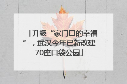 升级“家门口的幸福”，武汉今年已新改建70座口袋公园