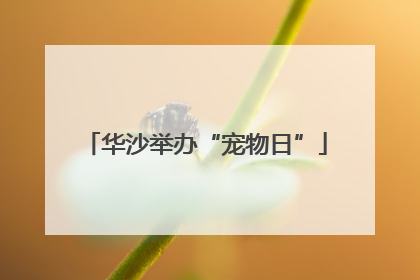 华沙举办“宠物日”