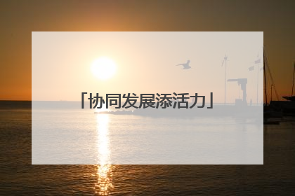 协同发展添活力