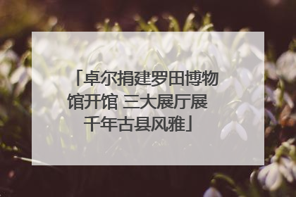 卓尔捐建罗田博物馆开馆 三大展厅展千年古县风雅