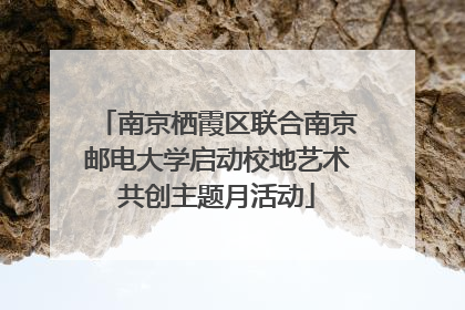 南京栖霞区联合南京邮电大学启动校地艺术共创主题月活动