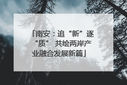 南安：追“新”逐“质” 共绘两岸产业融合发展新篇
