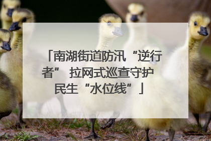 南湖街道防汛“逆行者” 拉网式巡查守护民生“水位线”