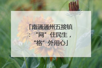 南通通州五接镇：“网”住民生，“格”外用心