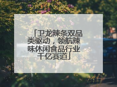 卫龙辣条双品类驱动，领航辣味休闲食品行业千亿赛道