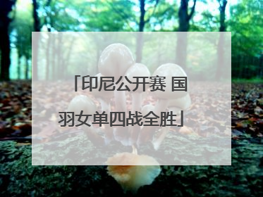 印尼公开赛 国羽女单四战全胜