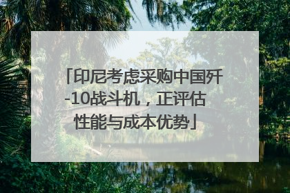 印尼考虑采购中国歼-10战斗机，正评估性能与成本优势