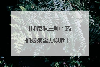 印尼队主帅：我们必须全力以赴