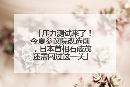 压力测试来了！今夏参议院改选前，日本首相石破茂还需闯过这一关