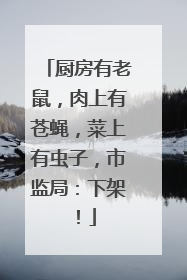 厨房有老鼠，肉上有苍蝇，菜上有虫子，市监局：下架！