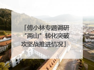 傅小林专题调研“两山”转化突破攻坚战推进情况