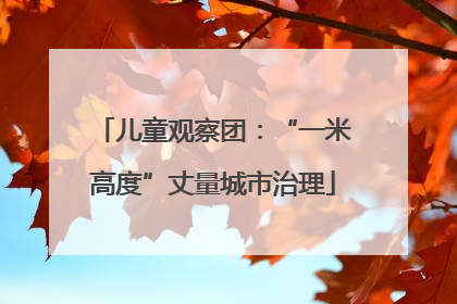 儿童观察团：“一米高度”丈量城市治理
