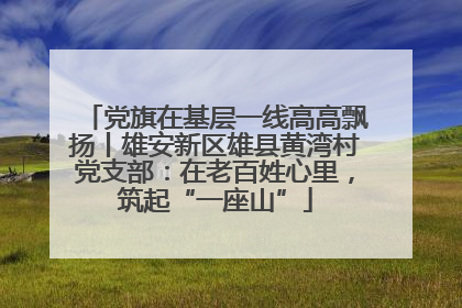 党旗在基层一线高高飘扬丨雄安新区雄县黄湾村党支部：在老百姓心里，筑起“一座山”