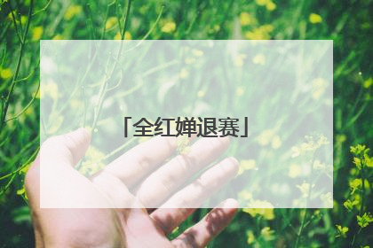 全红婵退赛