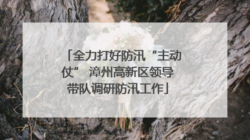 全力打好防汛“主动仗” 漳州高新区领导带队调研防汛工作