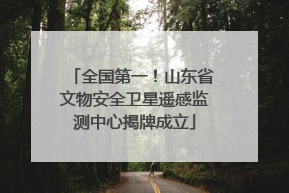 全国第一！山东省文物安全卫星遥感监测中心揭牌成立