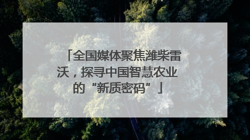 全国媒体聚焦潍柴雷沃，探寻中国智慧农业的“新质密码”