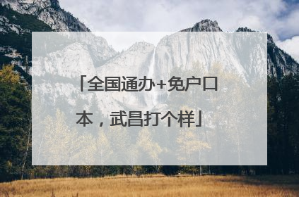 全国通办+免户口本，武昌打个样