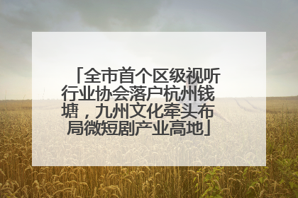 全市首个区级视听行业协会落户杭州钱塘，九州文化牵头布局微短剧产业高地