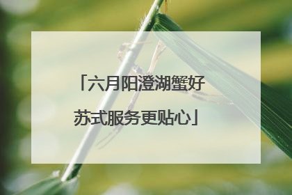 六月阳澄湖蟹好 苏式服务更贴心
