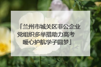 兰州市城关区非公企业党组织多举措助力高考 暖心护航学子圆梦