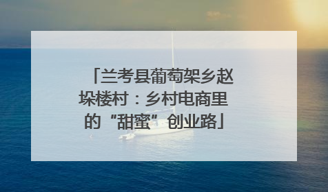 兰考县葡萄架乡赵垛楼村：乡村电商里的“甜蜜”创业路
