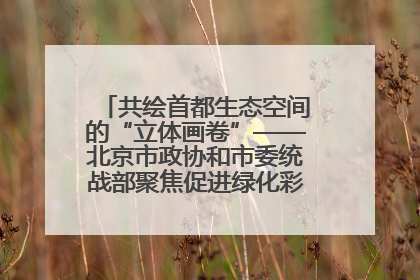 共绘首都生态空间的“立体画卷”——北京市政协和市委统战部聚焦促进绿化彩化美化生态空间建设联合协商议政