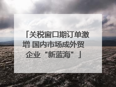 关税窗口期订单激增 国内市场成外贸企业“新蓝海”
