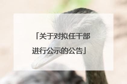 关于对拟任干部进行公示的公告