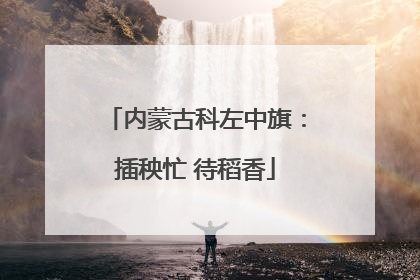 内蒙古科左中旗：插秧忙 待稻香