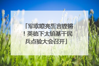 军歌嘹亮誓言铿锵！英德下太镇基干民兵点验大会召开