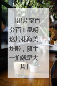 出片率百分百！昆明这片花海美炸啦，随手一拍就是大片