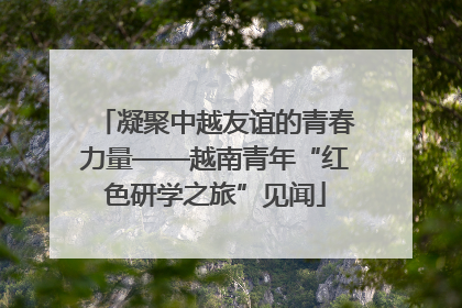 凝聚中越友谊的青春力量——越南青年“红色研学之旅”见闻