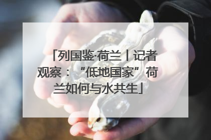 列国鉴·荷兰丨记者观察：“低地国家”荷兰如何与水共生