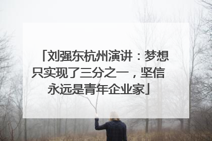 刘强东杭州演讲：梦想只实现了三分之一，坚信永远是青年企业家