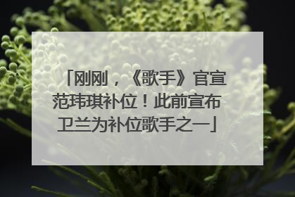 刚刚，《歌手》官宣范玮琪补位！此前宣布卫兰为补位歌手之一