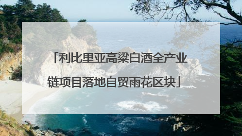 利比里亚高粱白酒全产业链项目落地自贸雨花区块