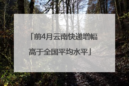 前4月云南快递增幅高于全国平均水平